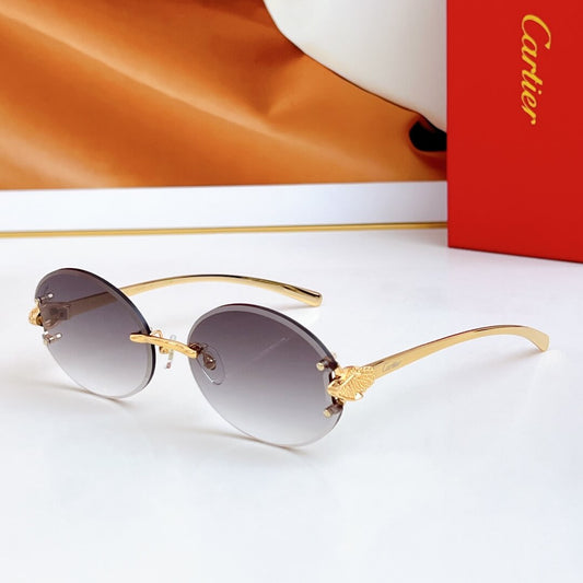 Timeless Sunglasses