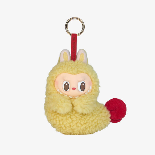 Earphone Case